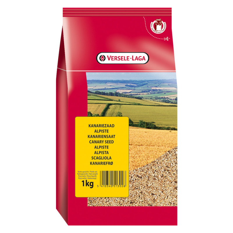 Graines d'alpiste pour oiseaux 1kg