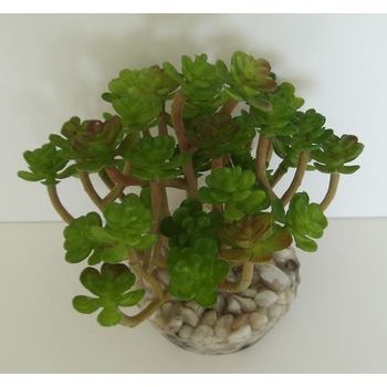 Plante aquarium:succulente, plastique, h.13cm