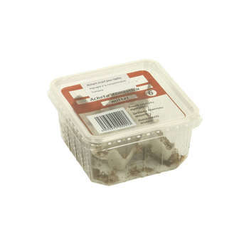 Grillons reptiles, taille M, environ 50 pièces