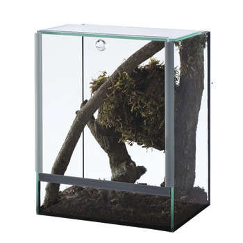 Terrarium insectes