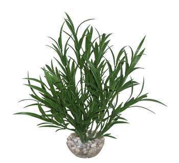 Plante artificielle aquarium : Riccia, 23cm