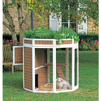 Clapier potager en bois