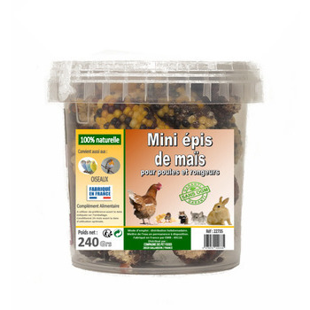 Mini friandises épis de maïs pour poules et rongeu