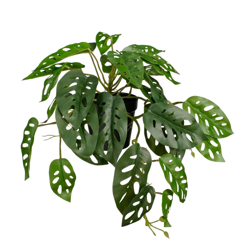 Plante artificielle retombante 'Monstera', coloris