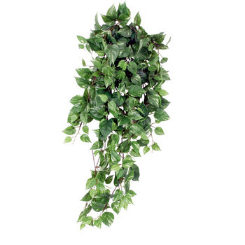 Mica decorations fausse plante - chute de scindaps