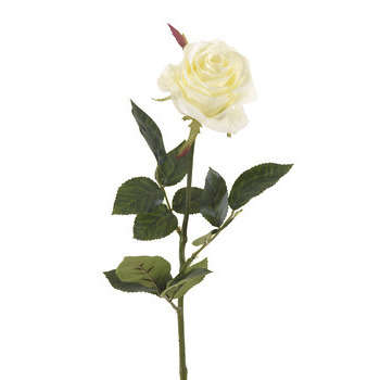 Tige rose : blanc, 73cm