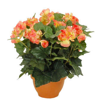 Mica decorations begonia salmon en pot campana ter