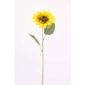 Fleurs et plantes artificielles - Truffaut-Barentin