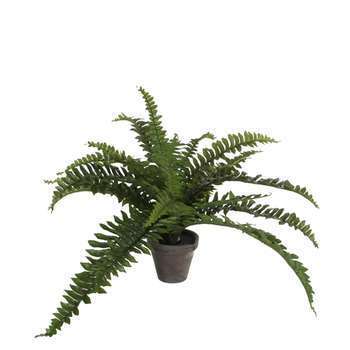 Plante artificielle : Pot Fougère D. 11,5 x H. 35