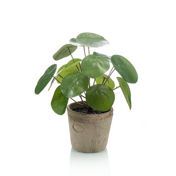 Pot Pilea 25 cm - Plante verte artificielle