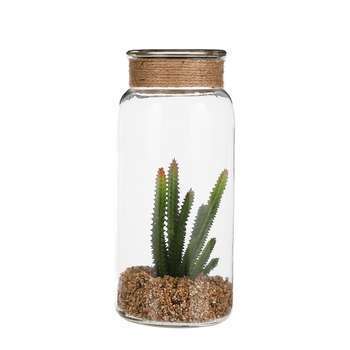 Succulente artificielle verre H24.5XD11