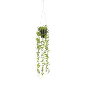 Plante artificielle : Suspension Eucalyptus en pot