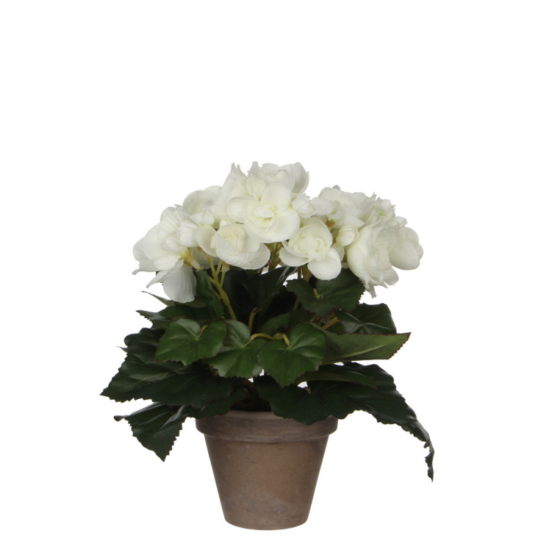 Bégonia artificiel en pot, coloris blanc - H. 25xD