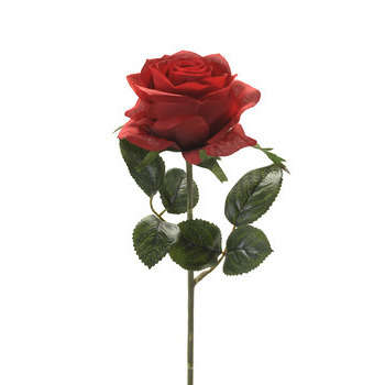 Tige rose : rouge, 45cm - Truffaut-Barentin