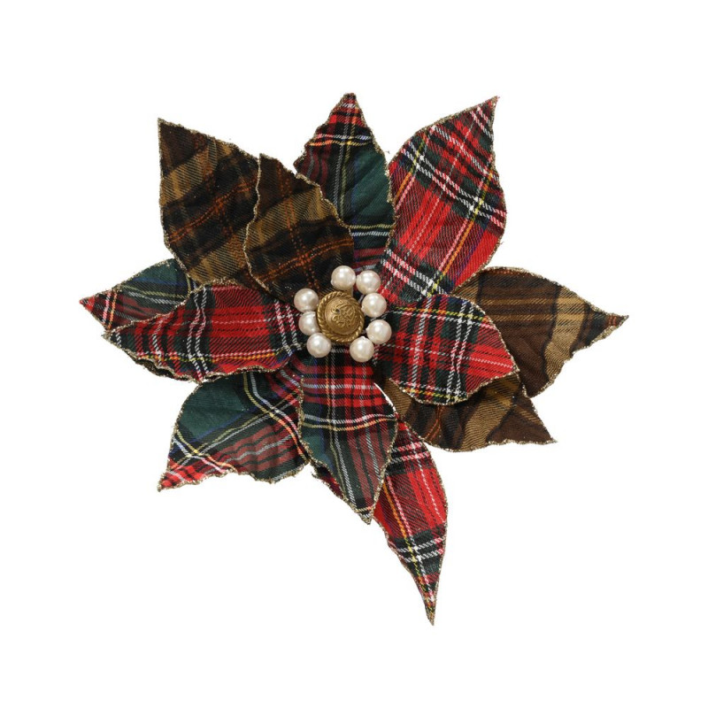 Poinsettia à clipper 'Fleur tartan', coloris mixte