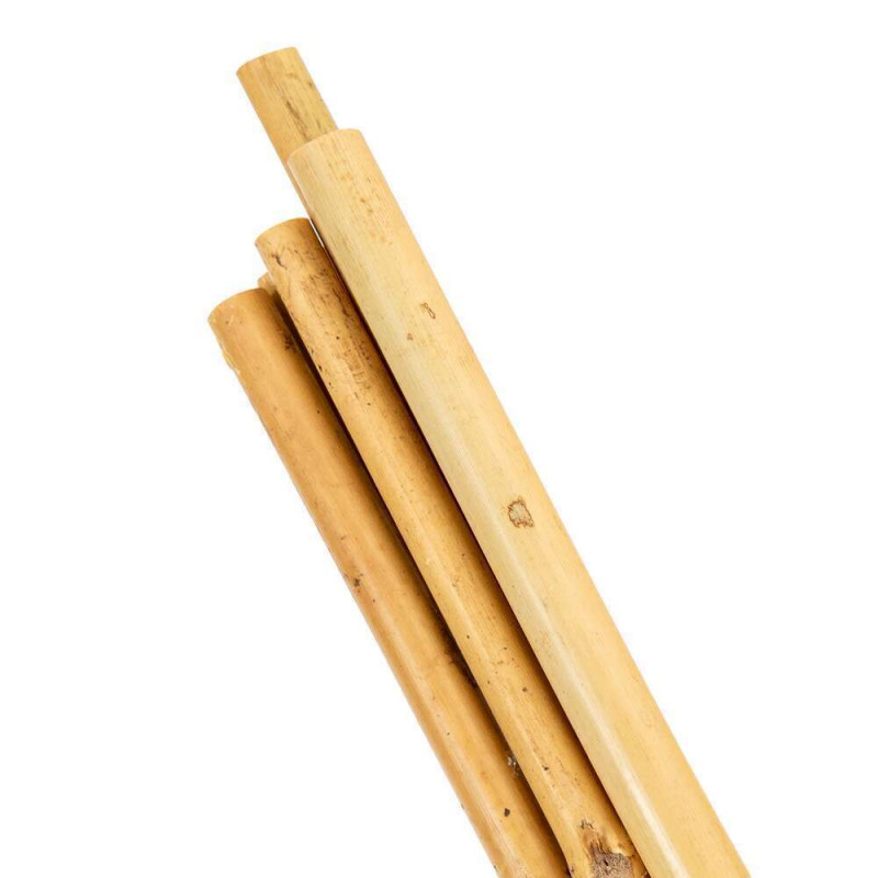 Tuteurs Bambou L150cm D10/12mm  x 3