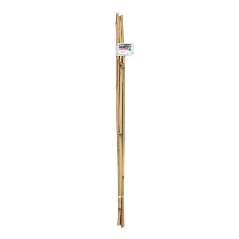 Lot de 7 tuteurs bambou Diam. 6/8 mm H 60 cm