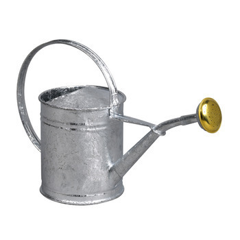 Arrosoir avec pomme galvanisé à chaud 1L