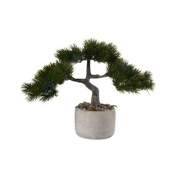 Bonsaï en pot, H. 25,5 cm