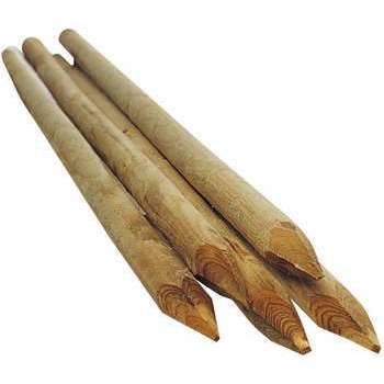 TUTEUR D60 X L2500 MM