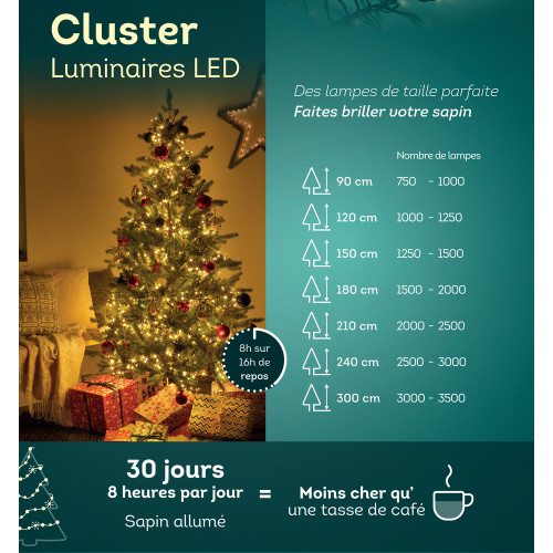 Guirlande lumineuse animée 'Cluster' 1128 led, bla